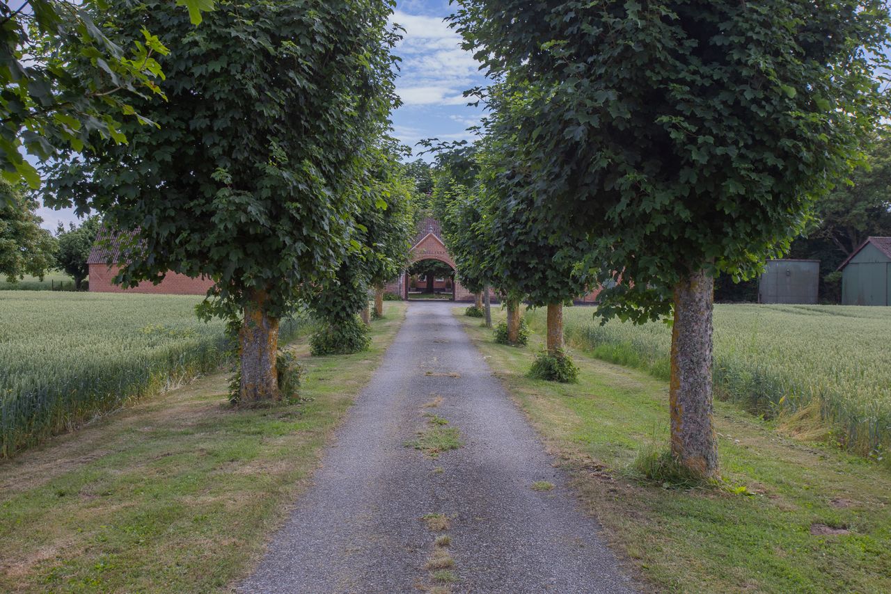 image 04