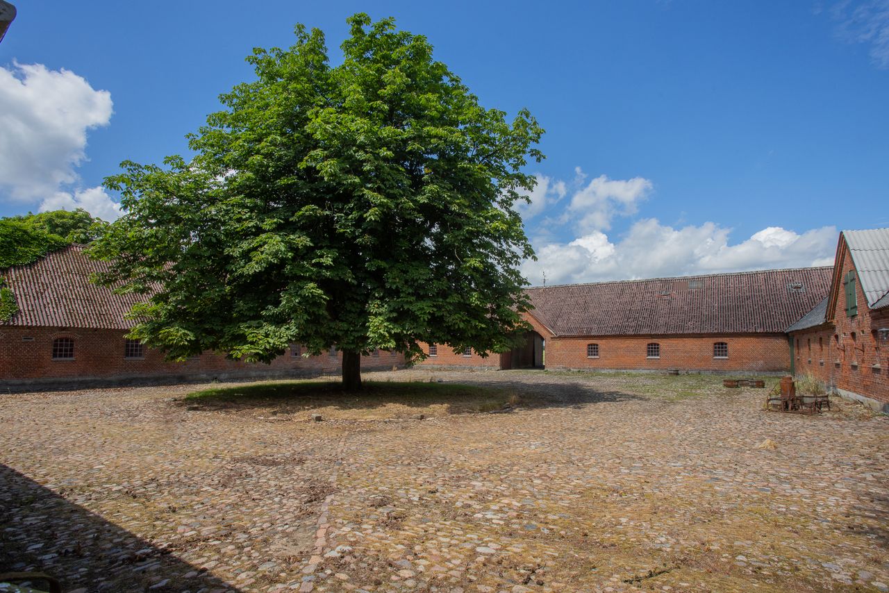 image 03